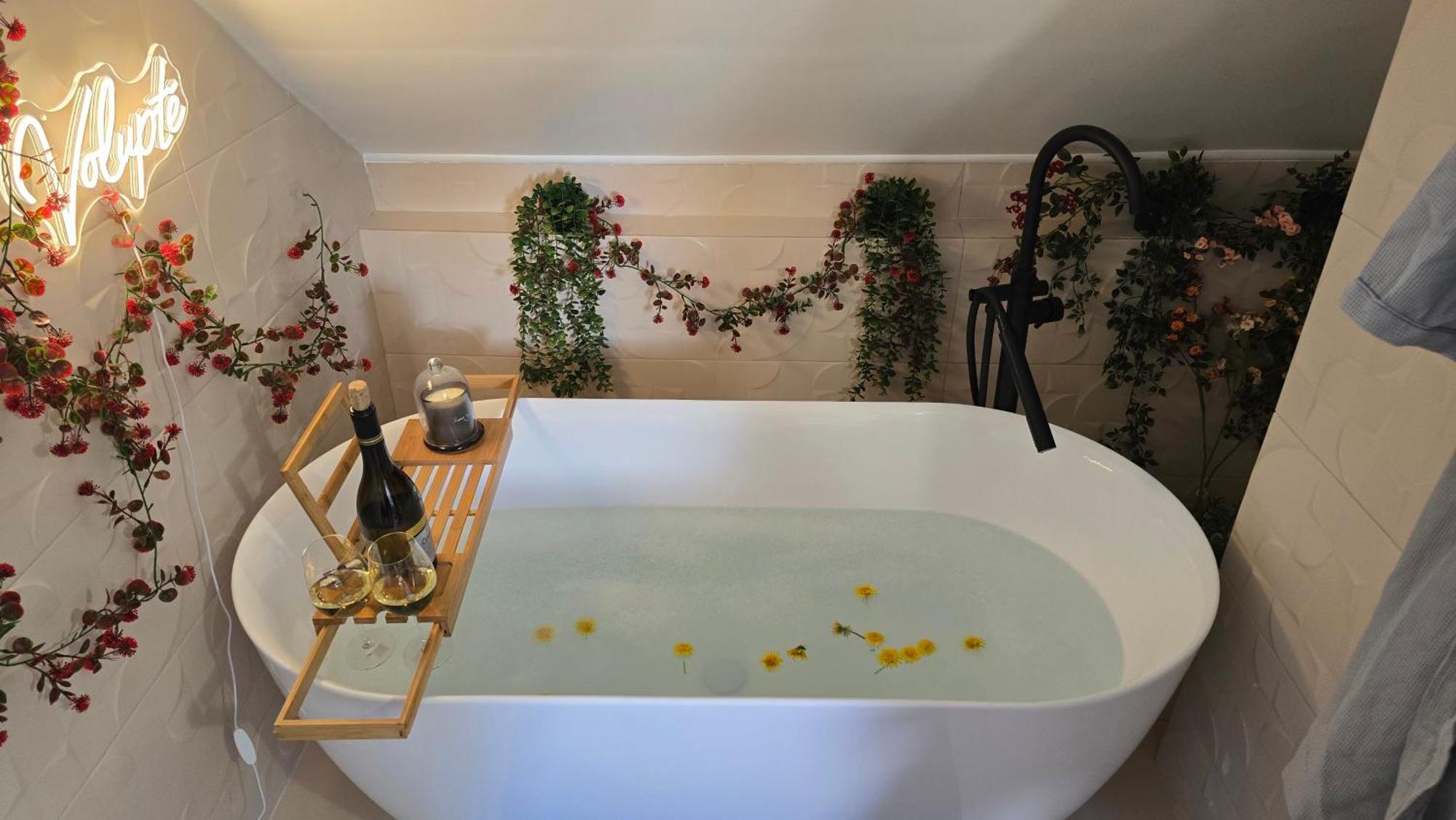 L'alcove Enchantee Appartement *